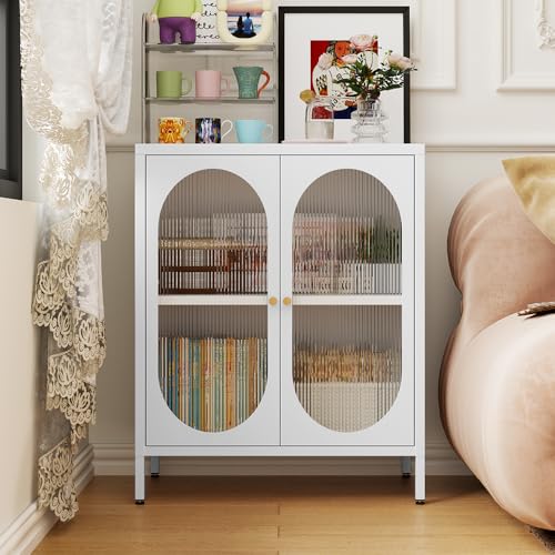 2 Door Metal Storage Cabinet with 1 Adjustable Shelf Z976