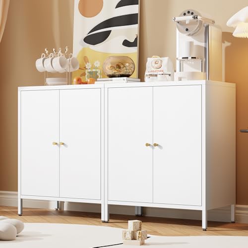 2 Door Metal Storage Cabinet with 1 Adjustable Shelf Z976