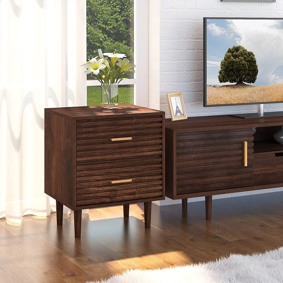 Set of 2 Nightstands with 2 Drawers C665
